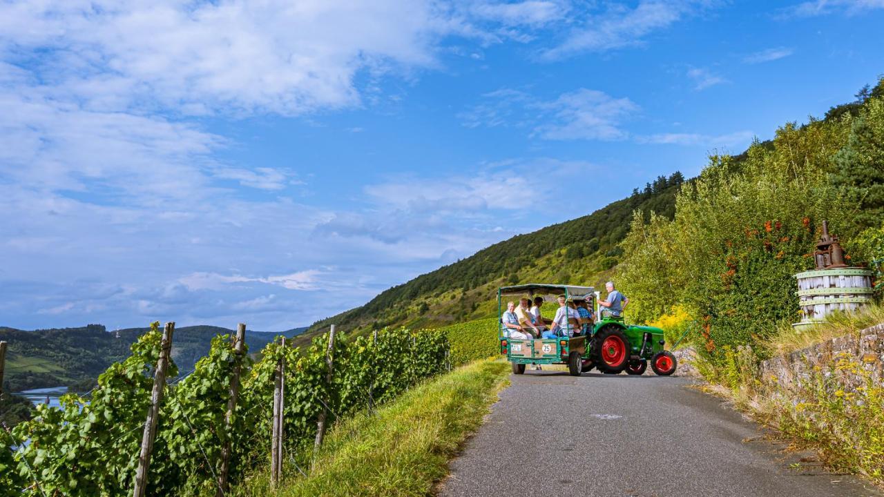 Ferienweingut Hirschen Schulstrasse Bed & Breakfast Burg  ภายนอก รูปภาพ