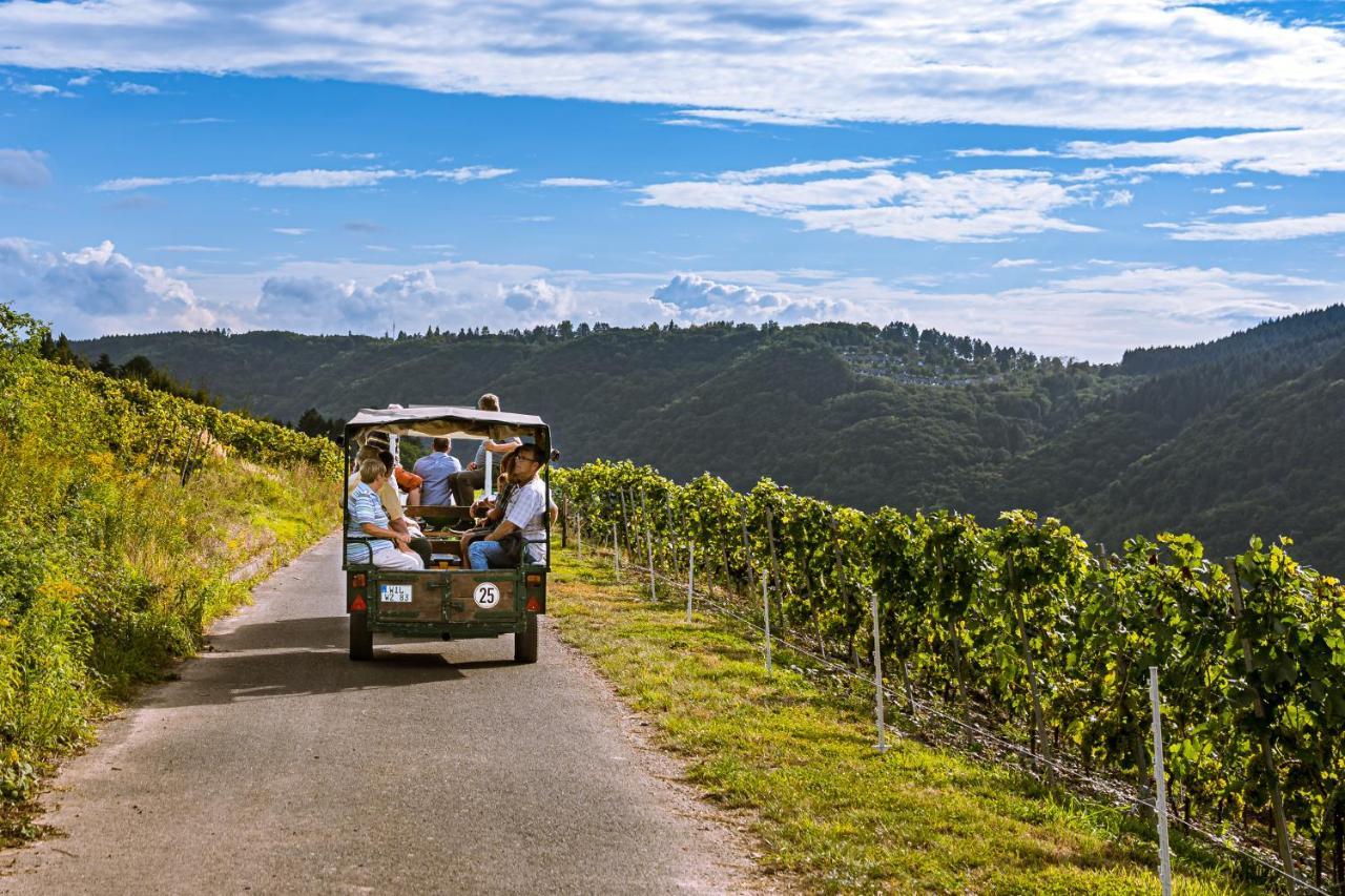 Ferienweingut Hirschen Schulstrasse Bed & Breakfast Burg  ภายนอก รูปภาพ