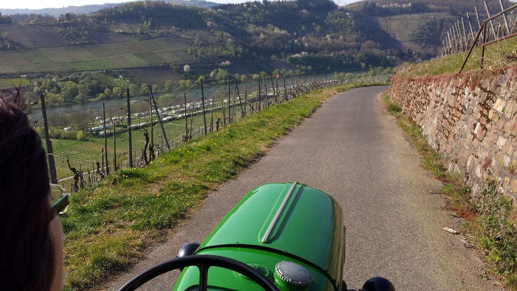 Ferienweingut Hirschen Schulstrasse Bed & Breakfast Burg  ภายนอก รูปภาพ