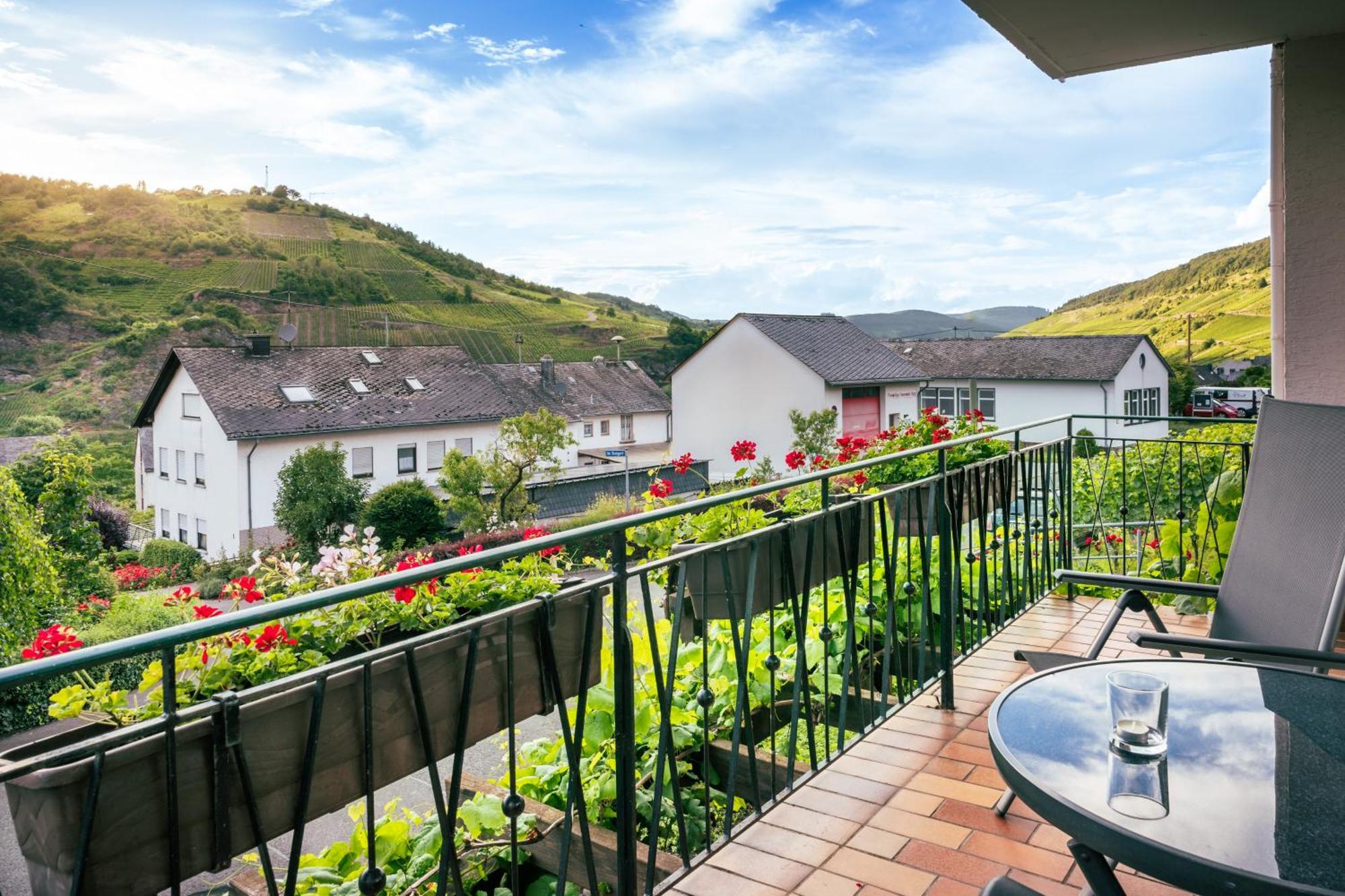 Ferienweingut Hirschen Schulstrasse Bed & Breakfast Burg  ภายนอก รูปภาพ