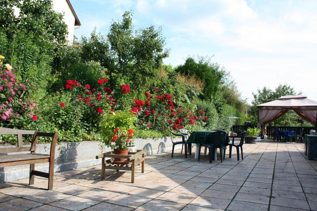Ferienweingut Hirschen Schulstrasse Bed & Breakfast Burg  ภายนอก รูปภาพ