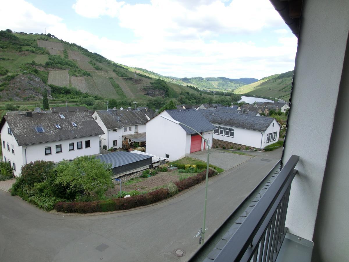Ferienweingut Hirschen Schulstrasse Bed & Breakfast Burg  ภายนอก รูปภาพ