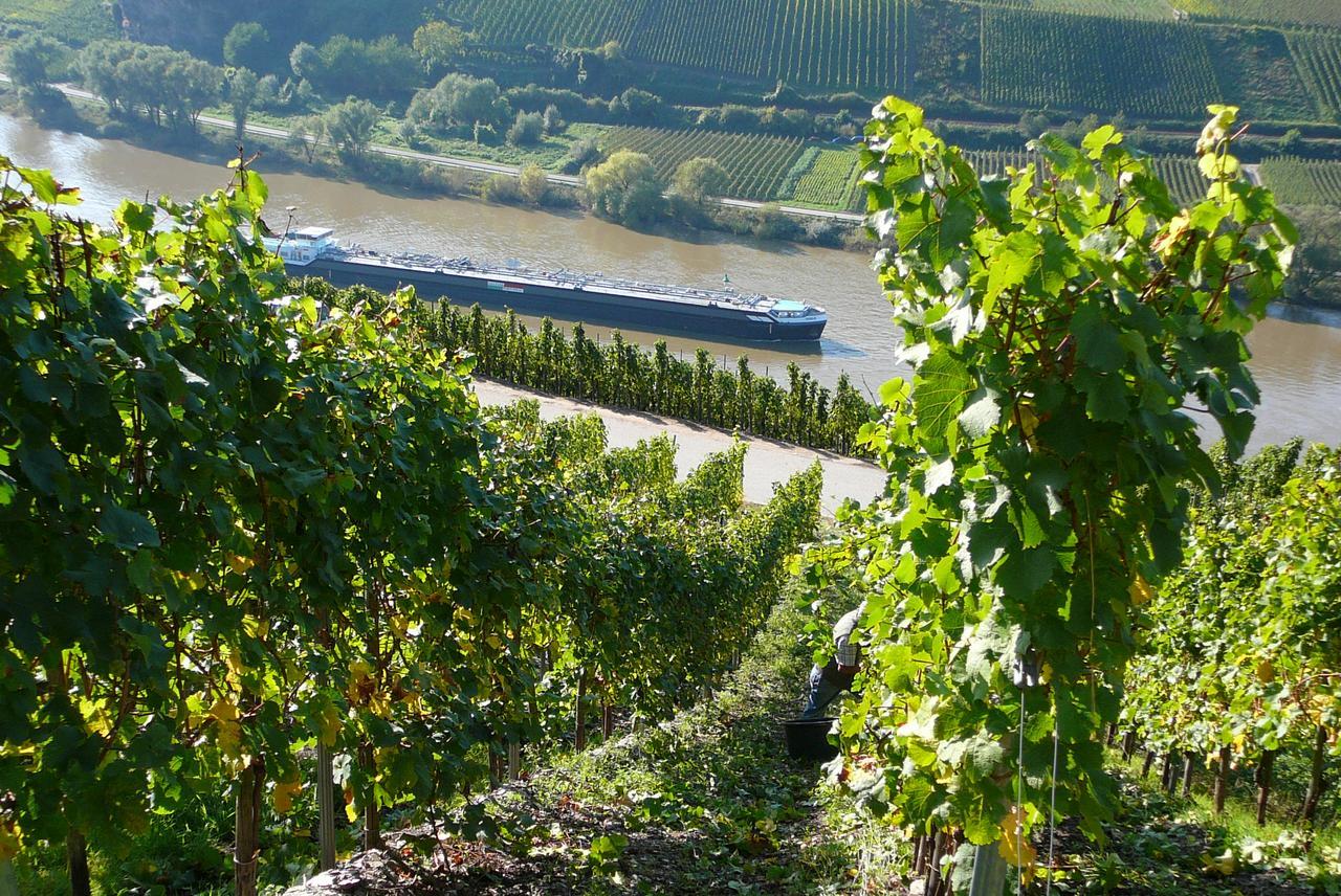 Ferienweingut Hirschen Schulstrasse Bed & Breakfast Burg  ภายนอก รูปภาพ